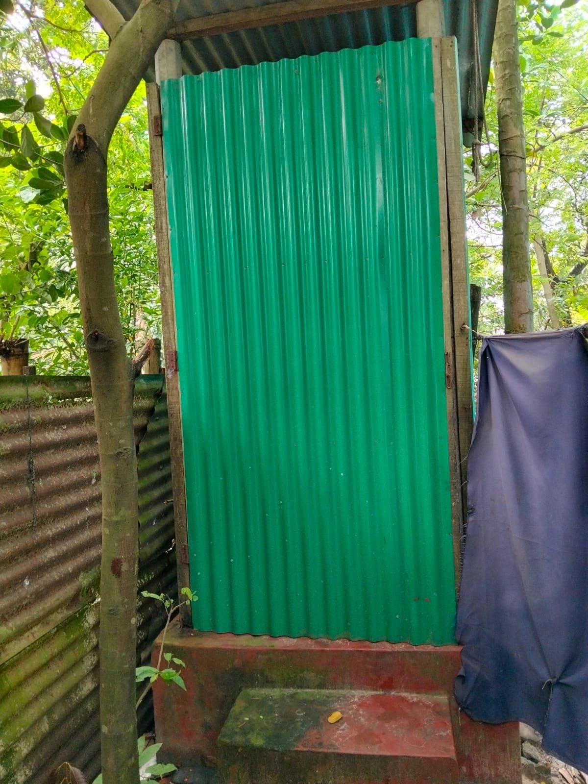 Green corrugated tin latrine in a wooden frame, a dark cloth screen hung beside it.